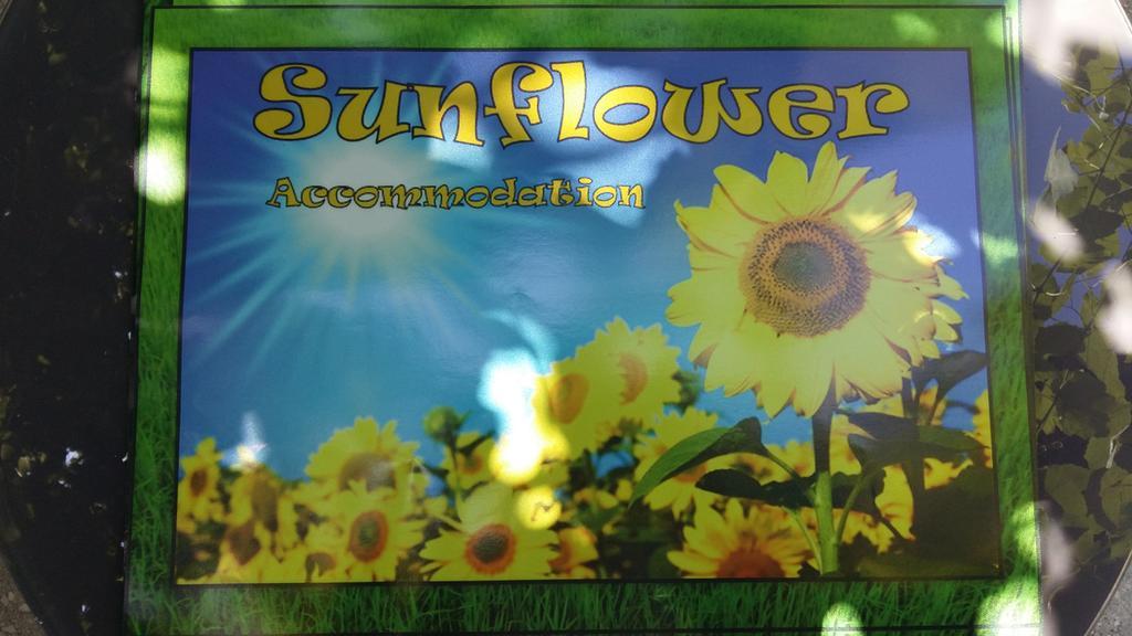 Sunflower Accommodation Liubliana Exterior foto